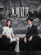 无可替代电视剧免费全集